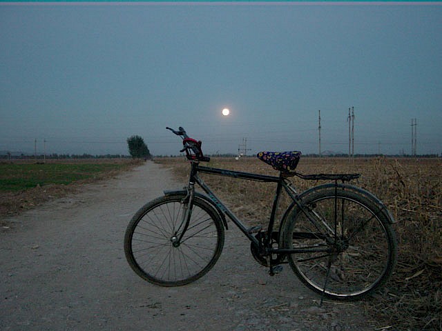 I Got a Bike You Can Ride it if You Like