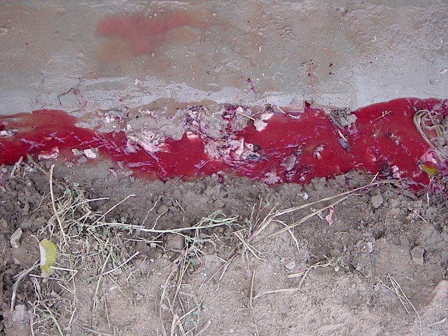 It's Just Blood, Blood on the Floor