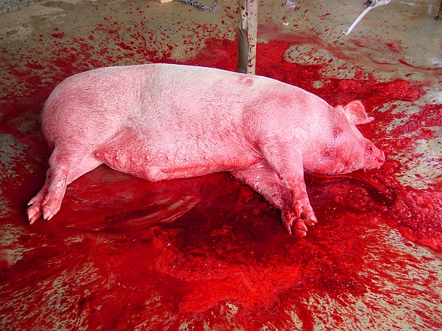 Blood on the Floor