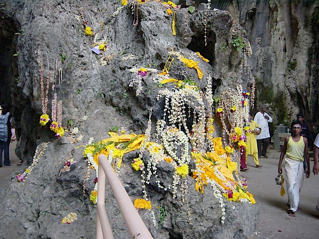 The Flowers of Romance